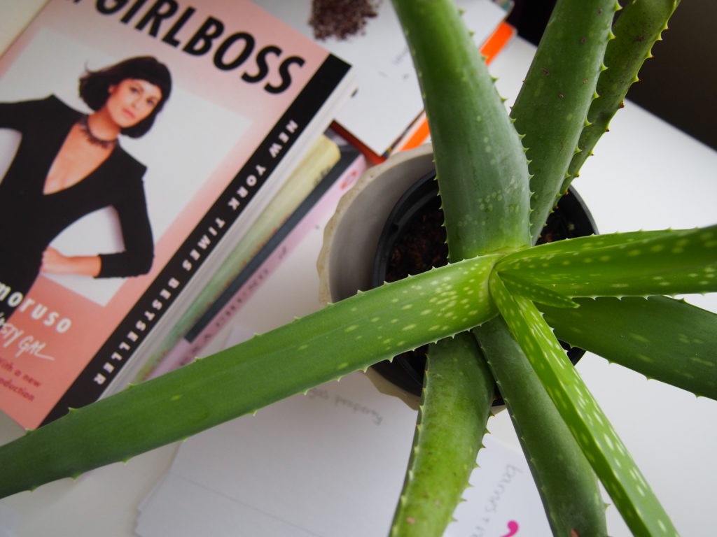 Workspace Essentials | Born To Be Bright