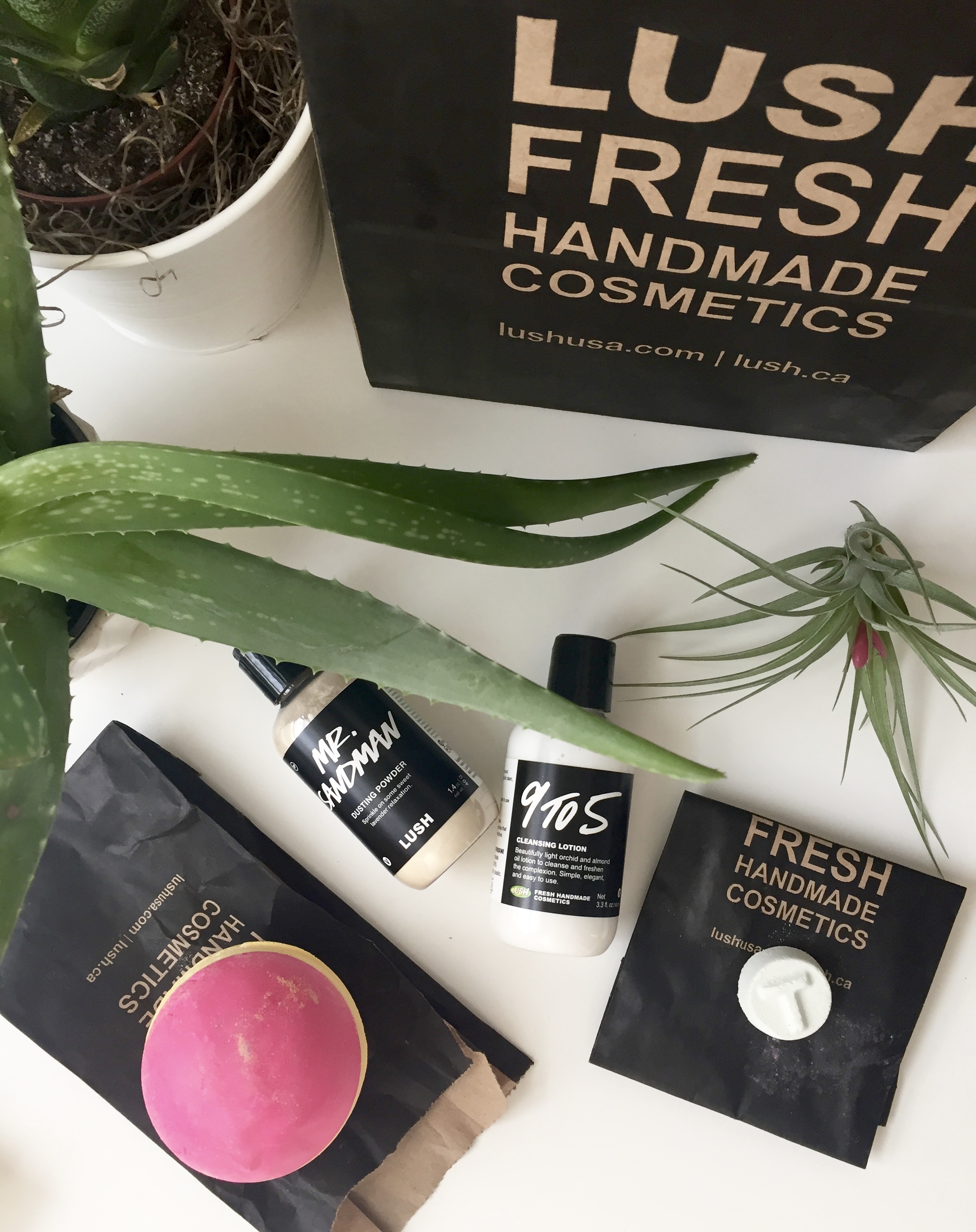 Little Lush Haul - Born To Be Bright