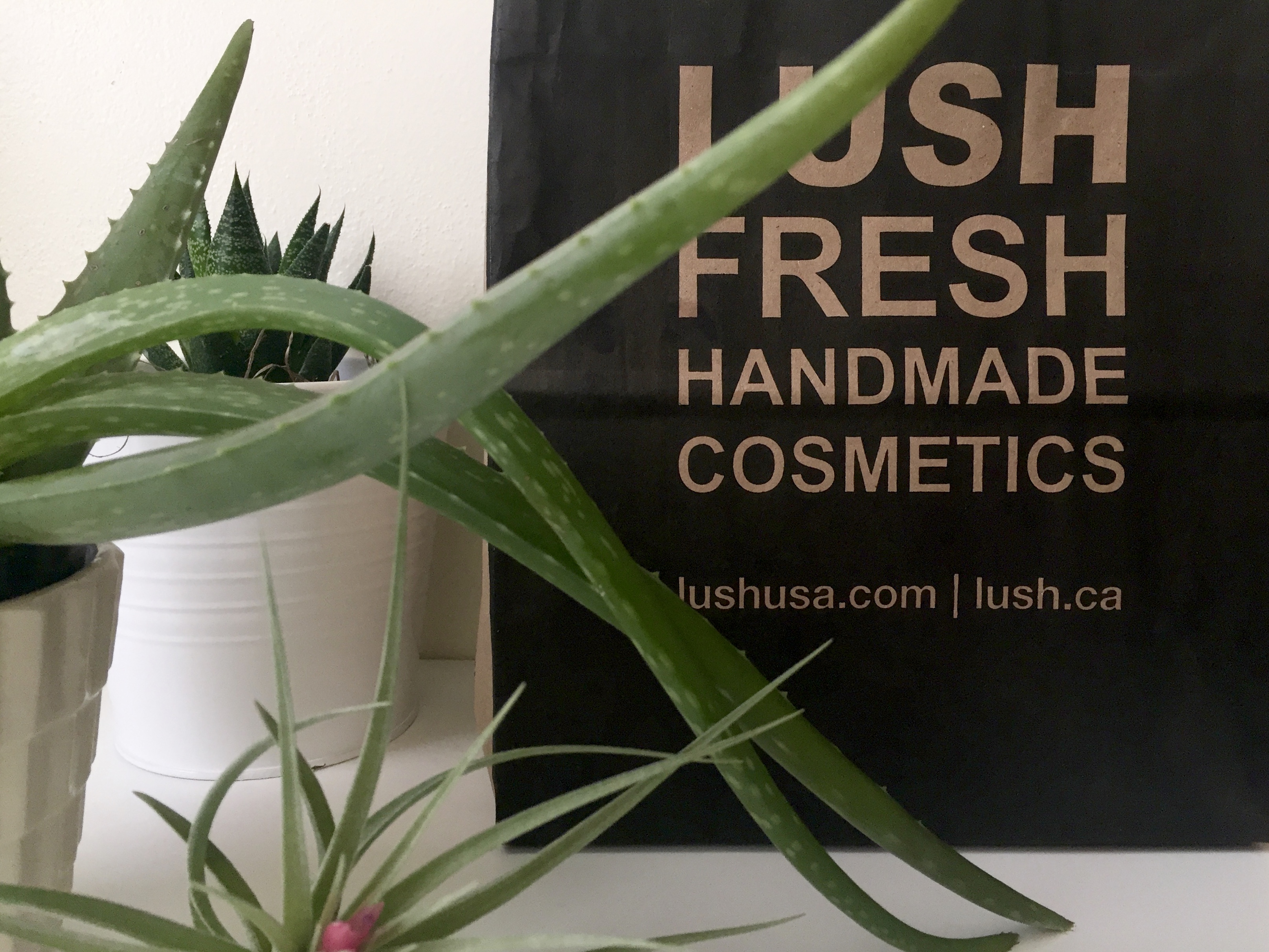 Little Lush Haul - Born To Be Bright