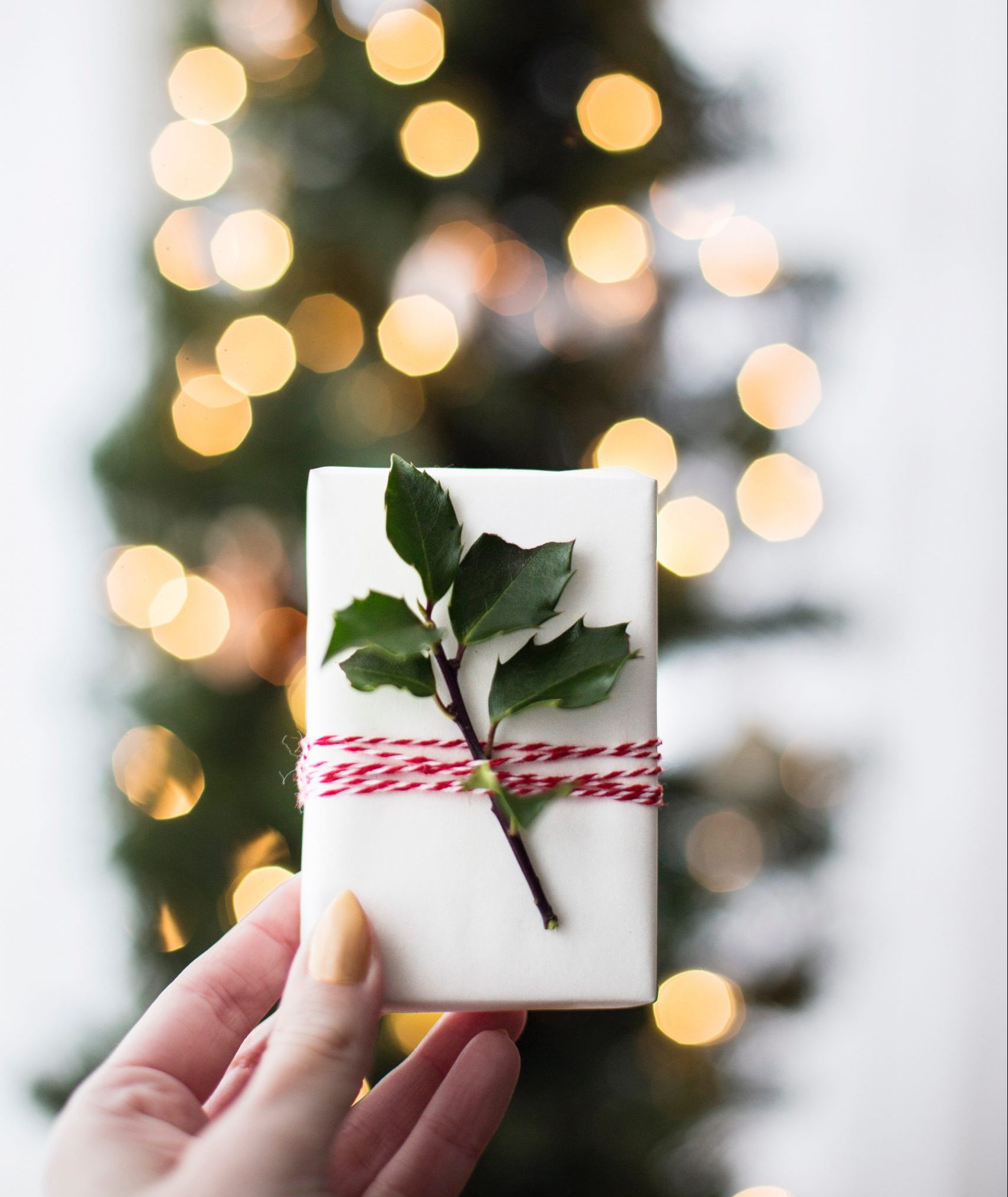 Sustainable Gift Guide 2019